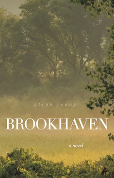 brookhaven a novel by glynn young